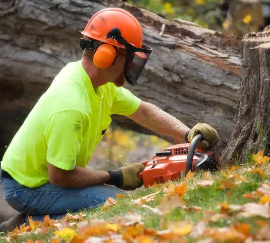 tree services Shenorock